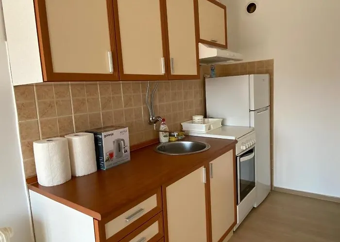 Centar Apartament Zrenjanin